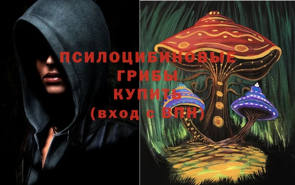 apvp Арсеньев