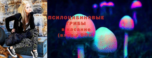 2c-b Армянск
