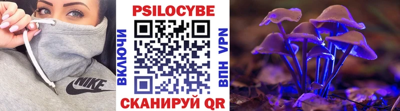 Псилоцибиновые грибы MAGIC MUSHROOMS  Рассказово 
