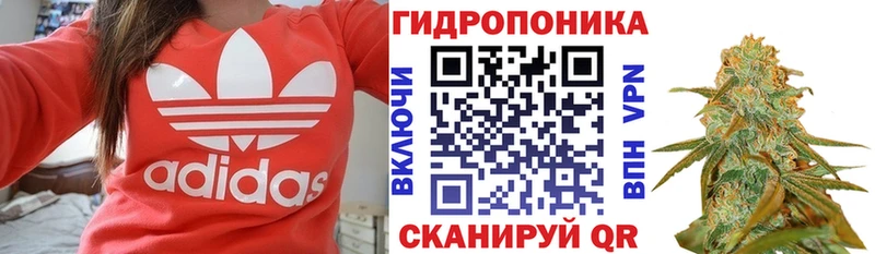 Бошки марихуана тримм  KRAKEN ССЫЛКА  Рассказово 